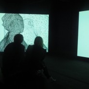 Inside the Invisible, two screen video projection, instalallation image