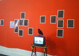 British Art Show / Juneau Projects installation image 2